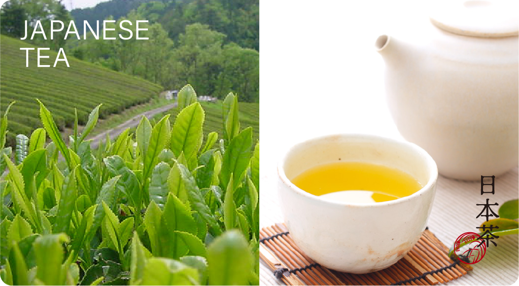 日本茶