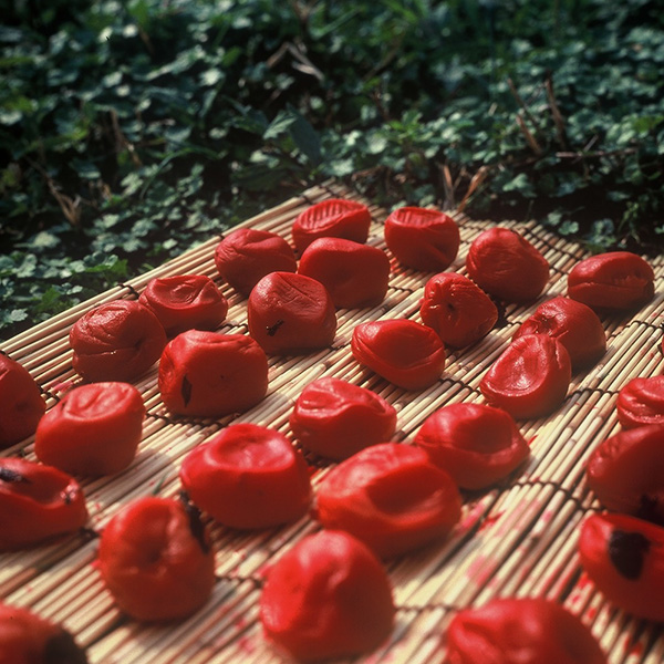 Organic Umeboshi